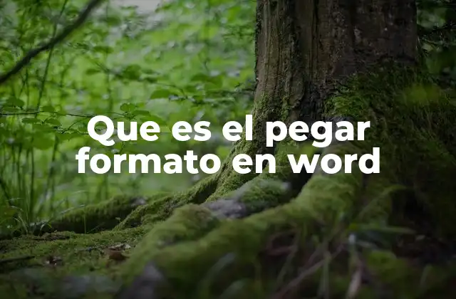 Que es el Pegar Formato en Word