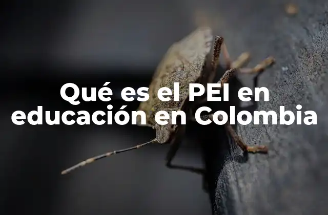 Qué es el Pei en Educación en Colombia