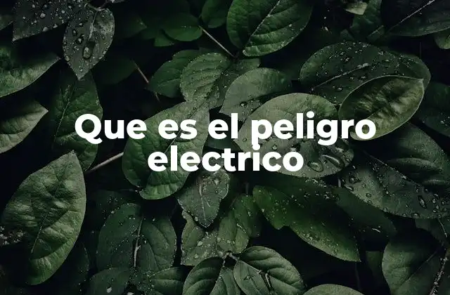 Que es el Peligro Electrico