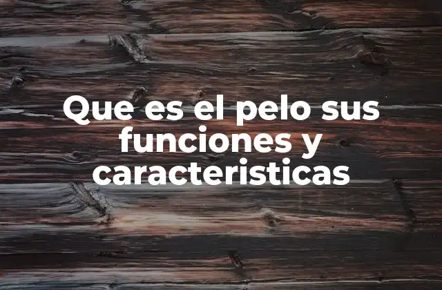 Que es el Pelo Sus Funciones y Caracteristicas