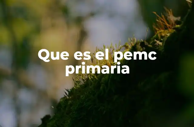 Que es el Pemc Primaria