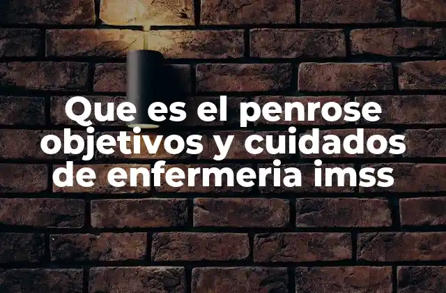 Que es el Penrose Objetivos y Cuidados de Enfermeria Imss 2 El rol de la enfermería en el manejo del drenaje Penrose