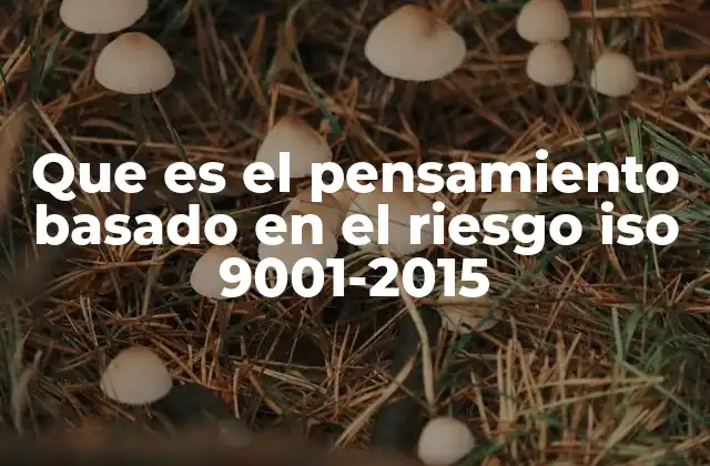 Que es el Pensamiento Basado en el Riesgo Iso 9001-2015