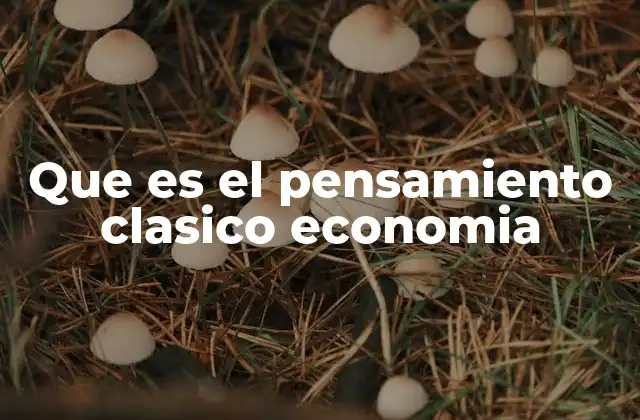 Que es el Pensamiento Clasico Economia