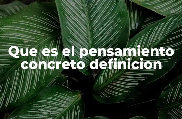 Que es el Pensamiento Concreto Definicion