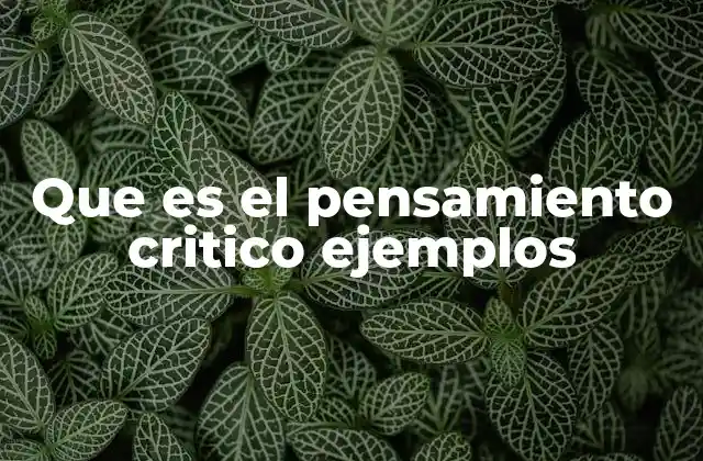 Que es el Pensamiento Critico Ejemplos 2 La importancia del razonamiento analítico en la toma de decisiones