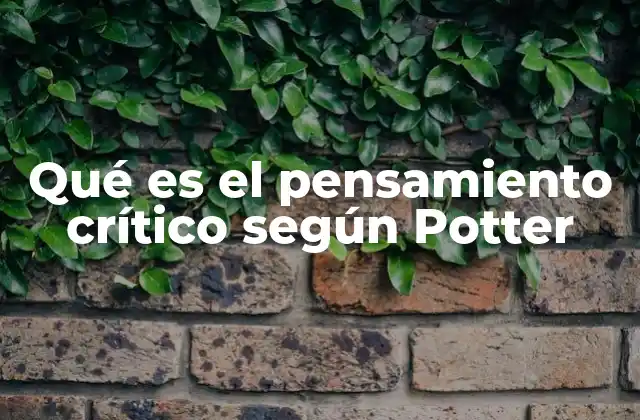 Qué es el Pensamiento Crítico según Potter