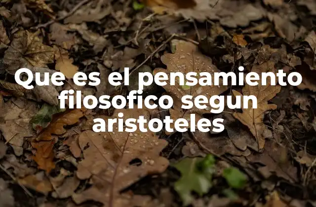 Que es el Pensamiento Filosofico Segun Aristoteles