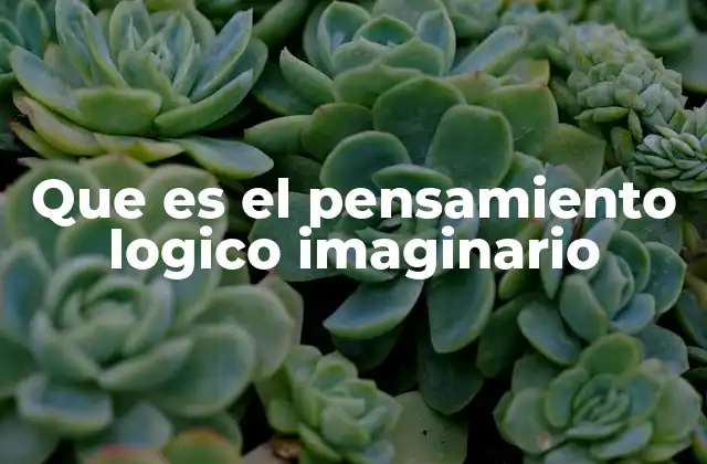 Que es el Pensamiento Logico Imaginario