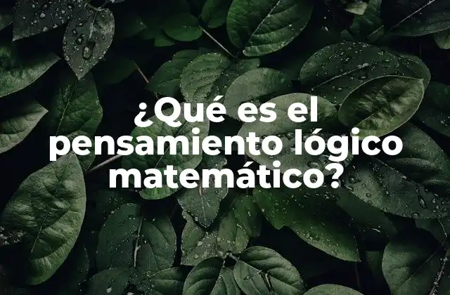 ¿qué es el Pensamiento Lógico Matemático?