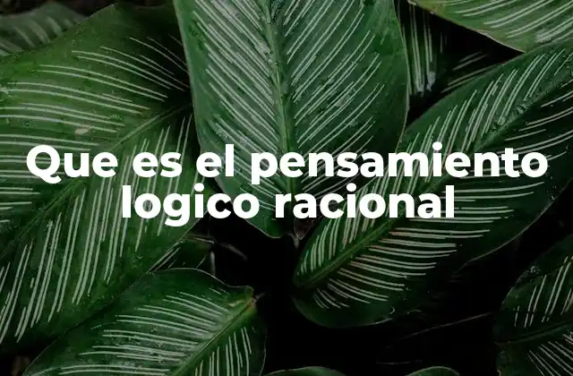 Que es el Pensamiento Logico Racional