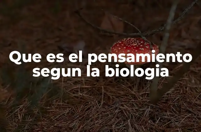 Que es el Pensamiento Segun la Biologia