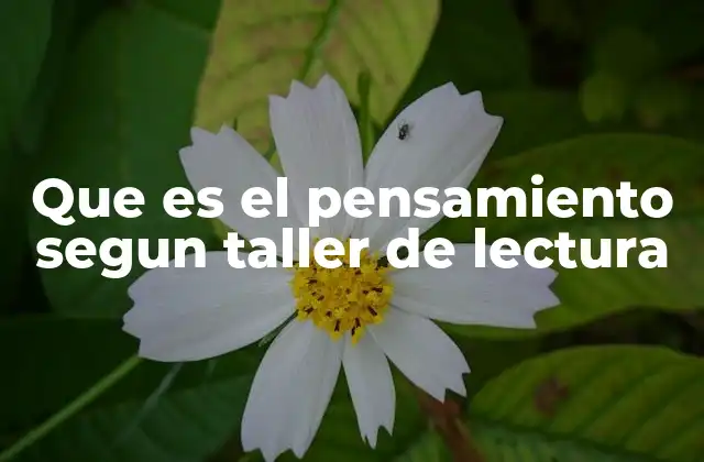 Que es el Pensamiento Segun Taller de Lectura