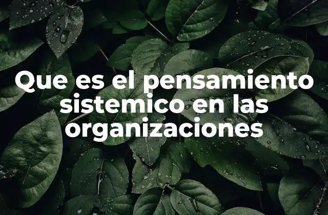 Que es el Pensamiento Sistemico en las Organizaciones
