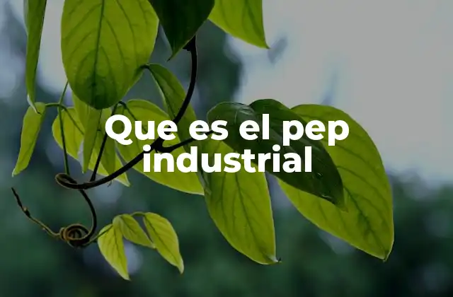 Que es el Pep Industrial