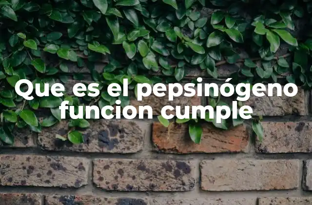 Que es el Pepsinógeno Funcion Cumple