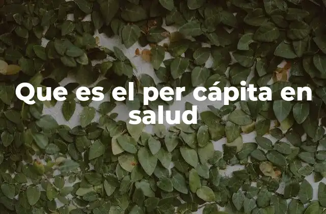 Que es el Per Cápita en Salud
