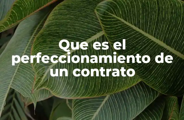 Que es el Perfeccionamiento de un Contrato