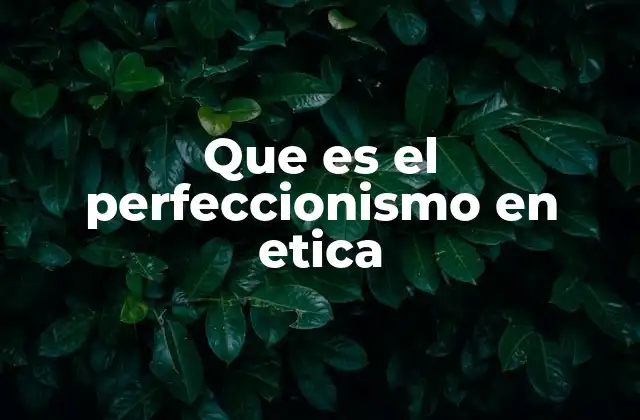 Que es el Perfeccionismo en Etica 2 La búsqueda de la virtud como guía moral
