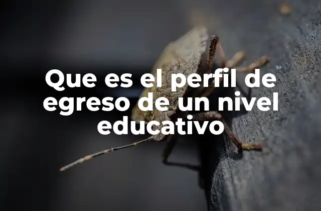 Que es el Perfil de Egreso de un Nivel Educativo