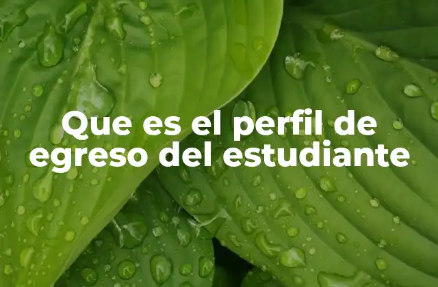Que es el Perfil de Egreso Del Estudiante