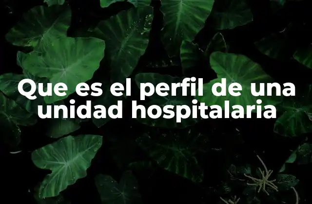 Que es el Perfil de una Unidad Hospitalaria