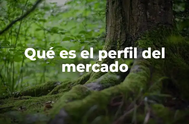Qué es el Perfil Del Mercado