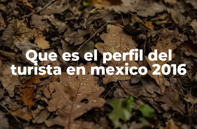 Características del turista internacional en México 2016