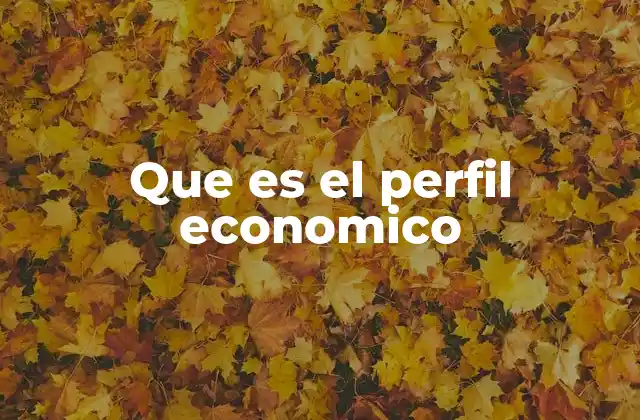 Que es el Perfil Economico
