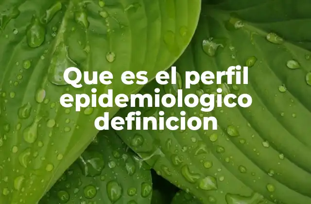 Que es el Perfil Epidemiologico Definicion