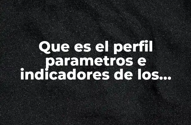 Que es el Perfil Parametros e Indicadores de los Docentes