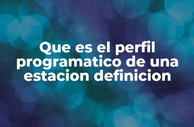 Que es el Perfil Programatico de una Estacion Definicion