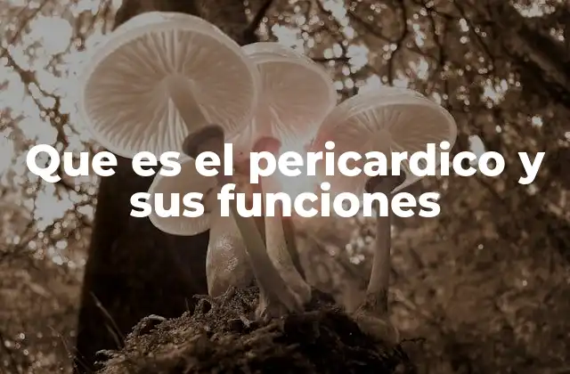 Que es el Pericardico y Sus Funciones