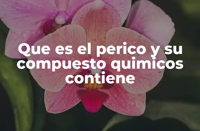 ¿Cuál es el impacto químico del perico en el organismo?