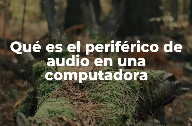 Qué es el Periférico de Audio en una Computadora