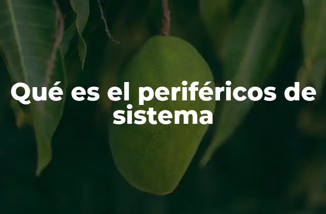 Tipos de dispositivos que interactúan con el hardware central