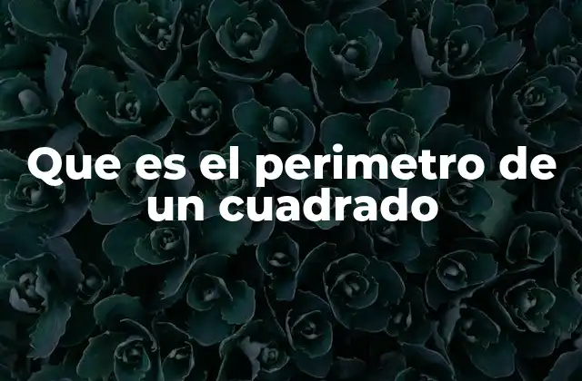 Que es el Perimetro de un Cuadrado
