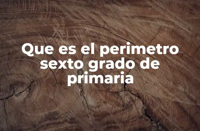 Que es el Perimetro Sexto Grado de Primaria 2 Cómo se introduce el perímetro en la enseñanza primaria