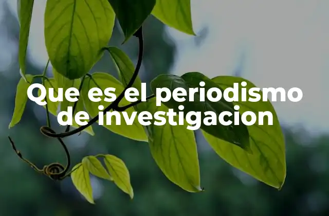 Que es el Periodismo de Investigacion