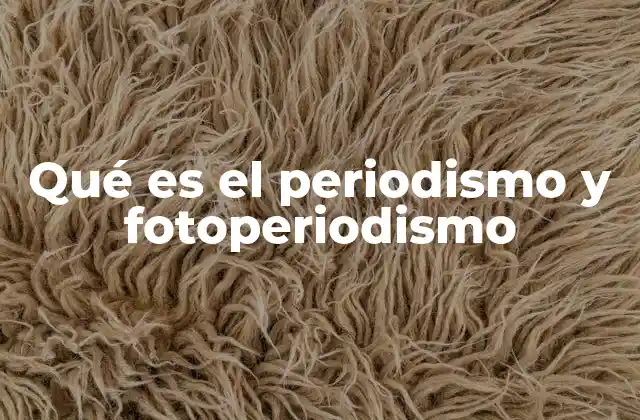 Qué es el Periodismo y Fotoperiodismo