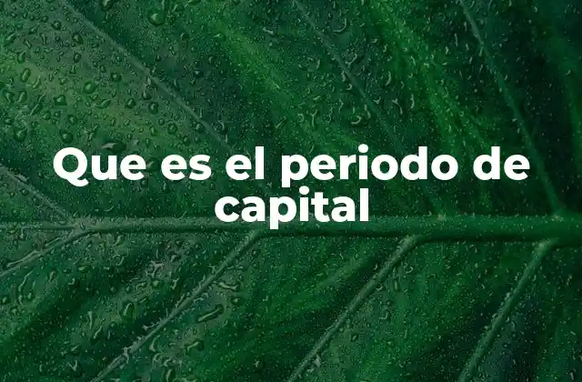 Que es el Periodo de Capital