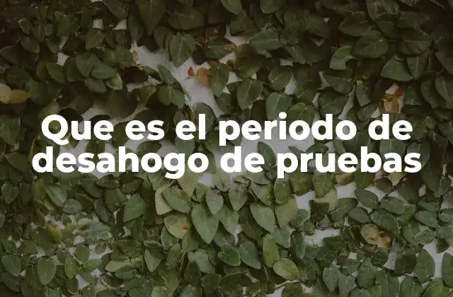Que es el Periodo de Desahogo de Pruebas