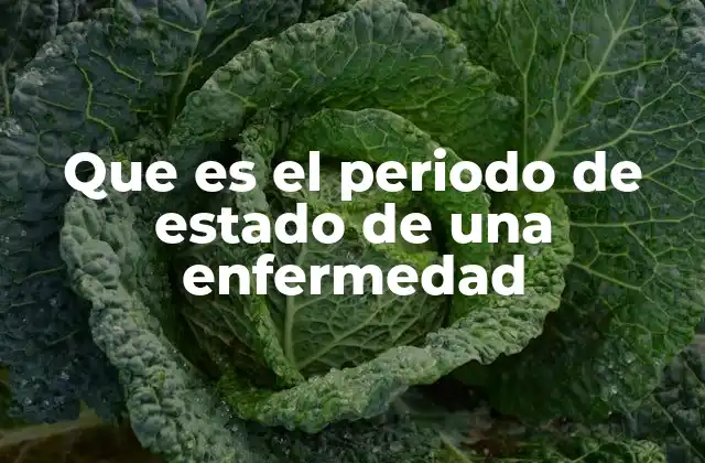 Que es el Periodo de Estado de una Enfermedad