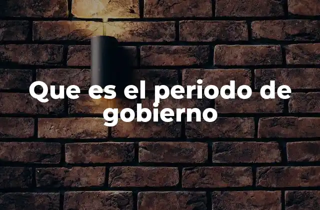 Que es el Periodo de Gobierno