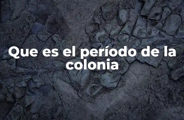 Que es el Período de la Colonia