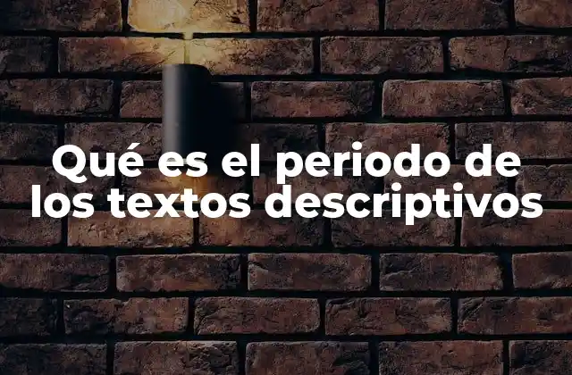 Qué es el Periodo de los Textos Descriptivos