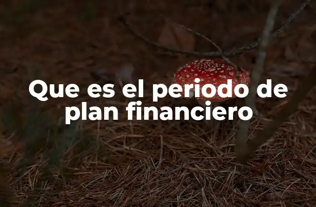 Que es el Periodo de Plan Financiero