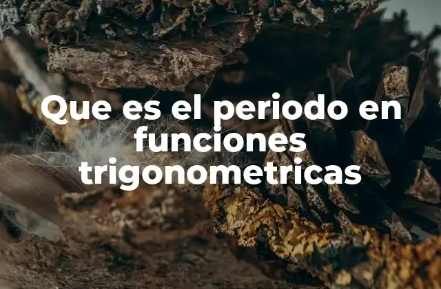 Que es el Periodo en Funciones Trigonometricas