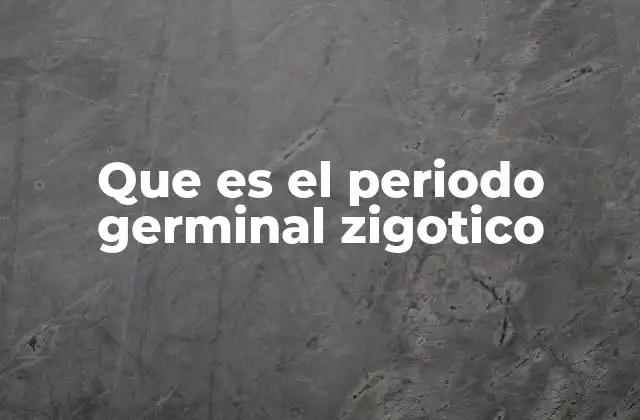 Que es el Periodo Germinal Zigotico