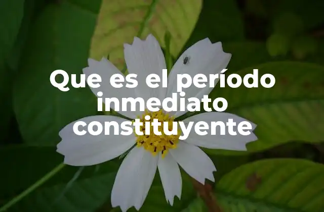 Que es el Período Inmediato Constituyente